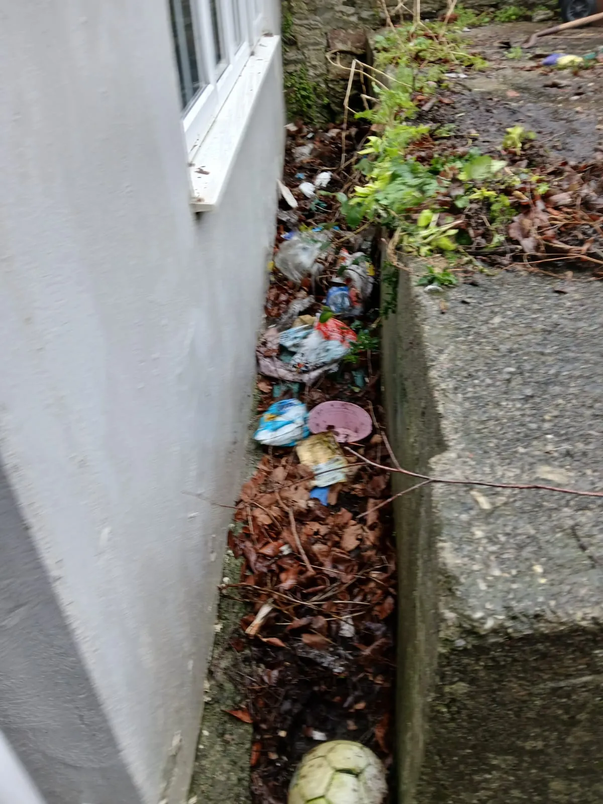 WhatsApp Image 2026-02-04 at 10.00.37 PM (1)