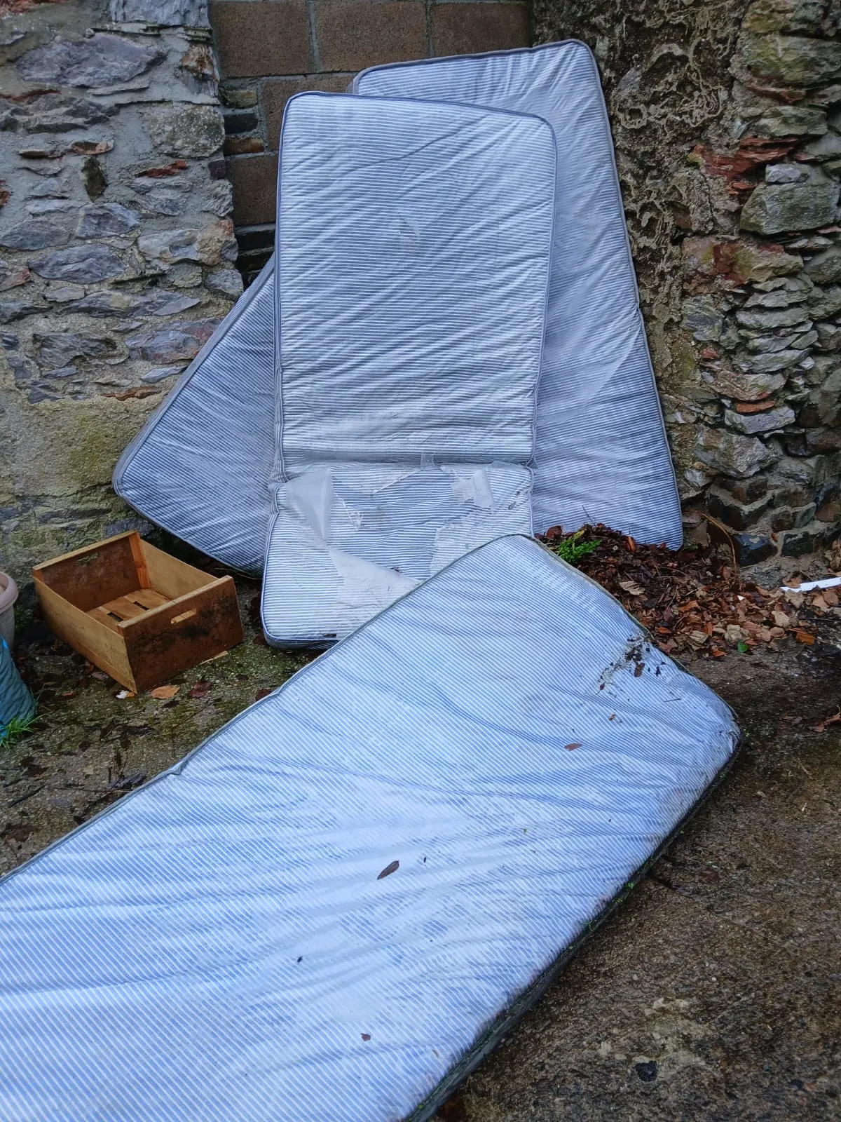 WhatsApp Image 2026-02-04 at 10.00.37 PM