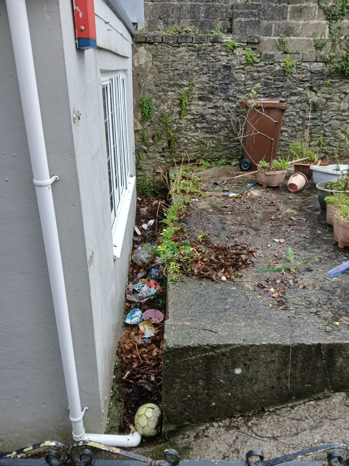 WhatsApp Image 2026-02-04 at 10.00.38 PM