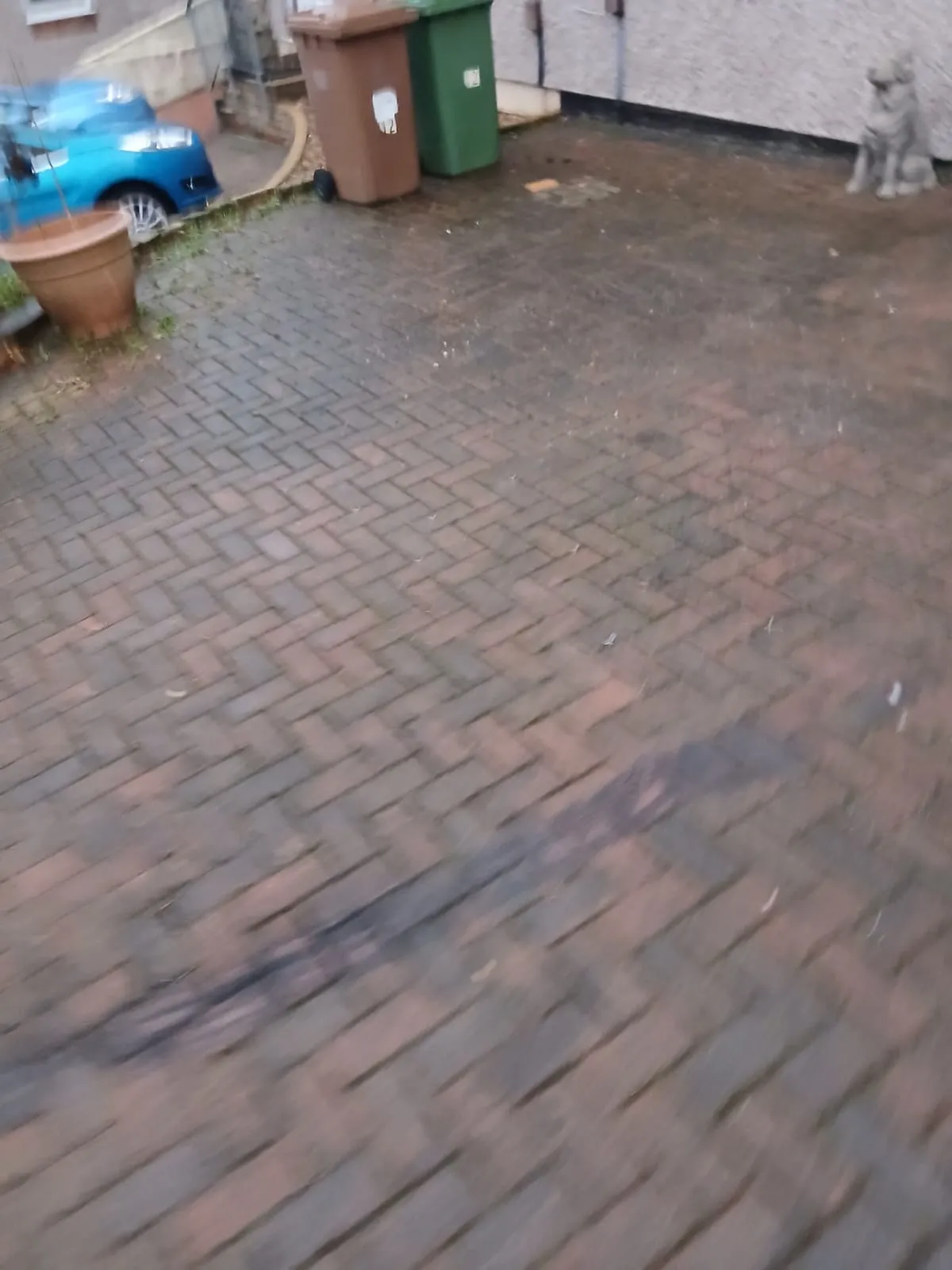 WhatsApp Image 2026-02-04 at 10.01.58 PM