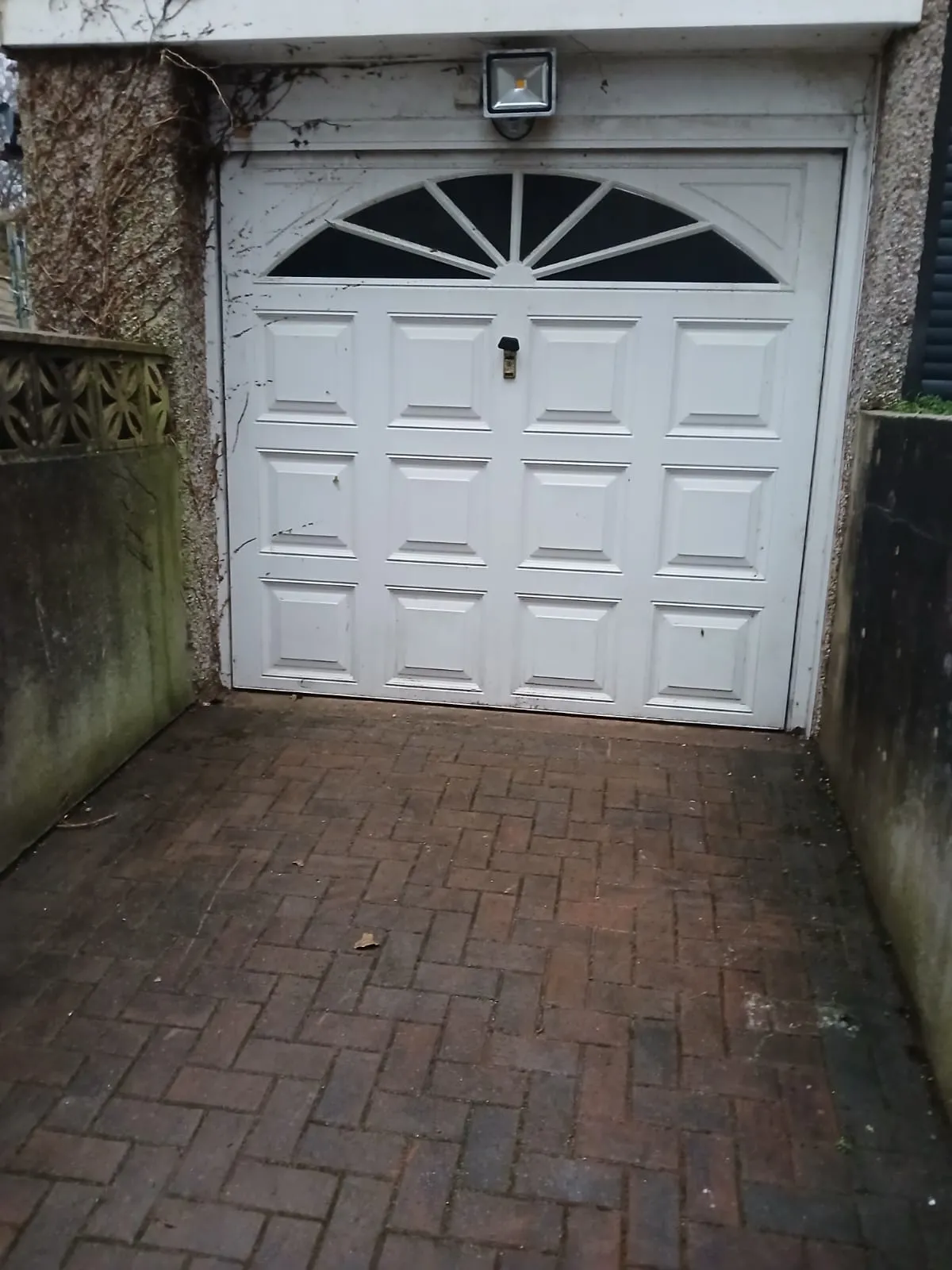 WhatsApp Image 2026-02-04 at 10.02.00 PM